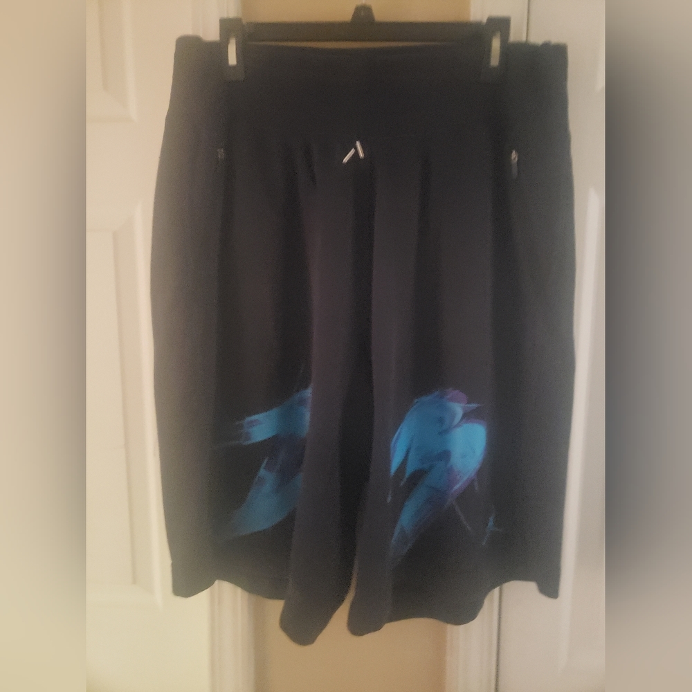 Rare Nike Air Jordan Retro 8 Aqua Fleece Shorts